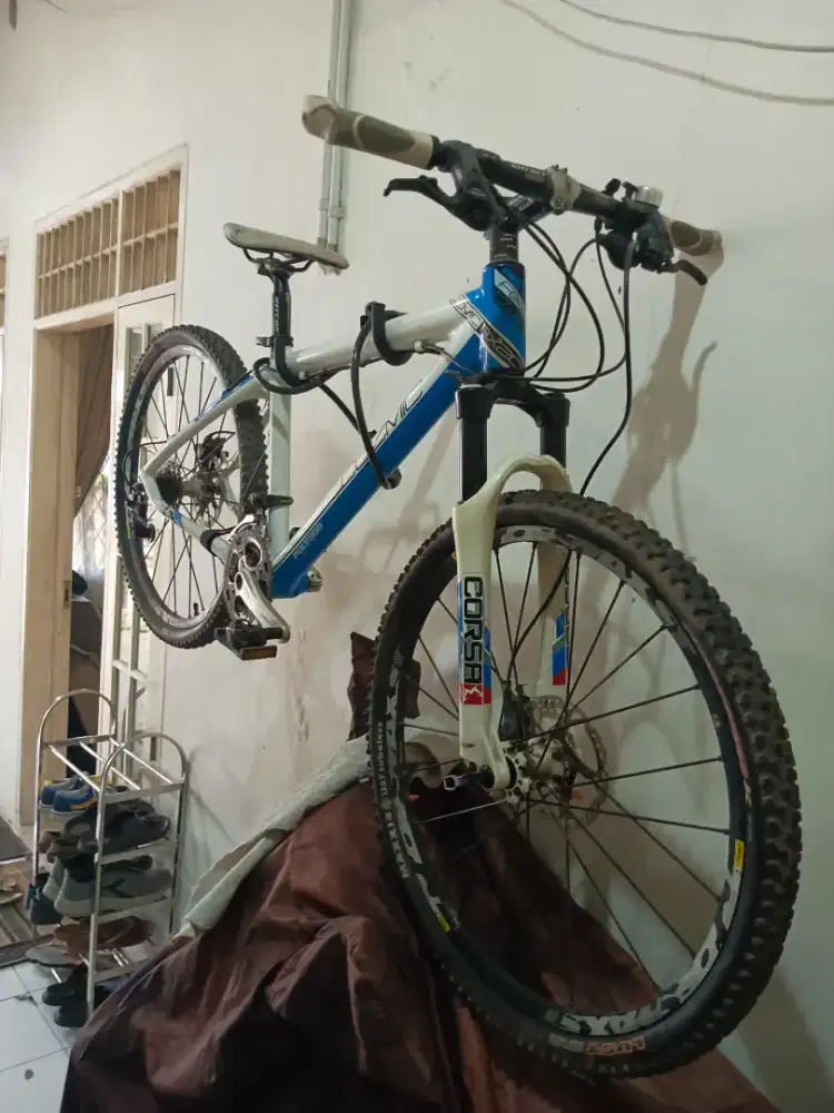 Polygon Cozmic RX 2.0 Carbon