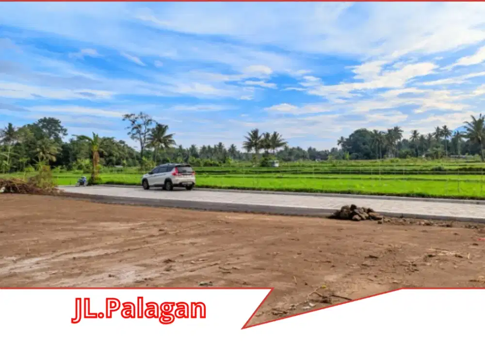 Tanah Nyaman Untuk Hunian Di Pinggir Sawah Yang Asri