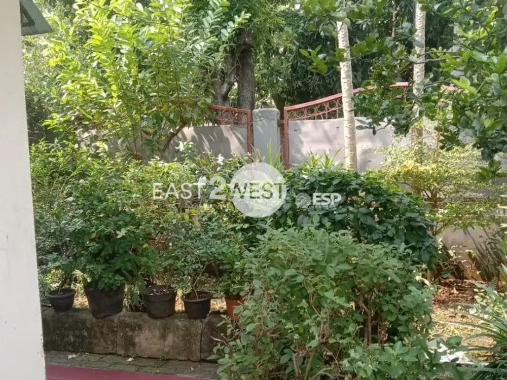 Rumah Jalan Beringin Raya Cengkareng Jakarta Barat Lokasi Bagus Strategis