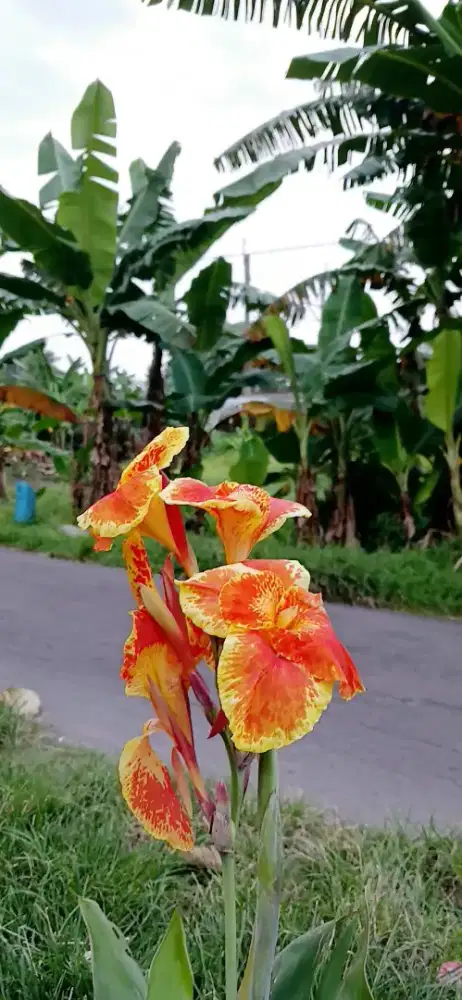 Mencari kerja ART untuk habis lebaran