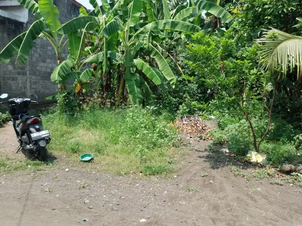 Dijual Tanah Kavling Winong Gempol Pasuruan Murah  SIU.A359