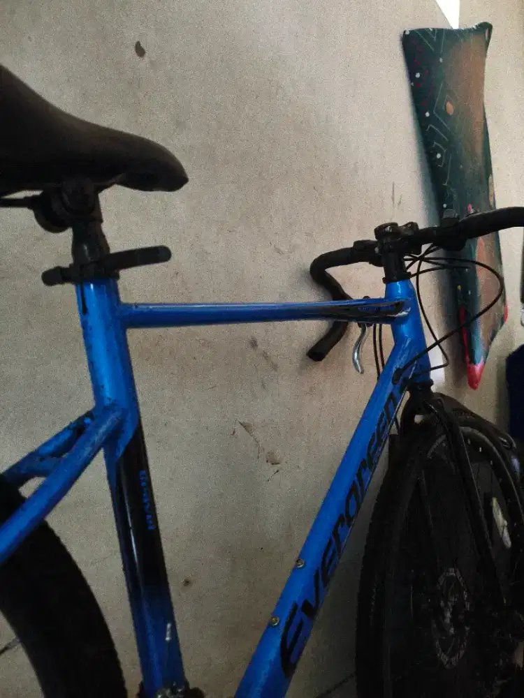 sepeda roadbike evergreen