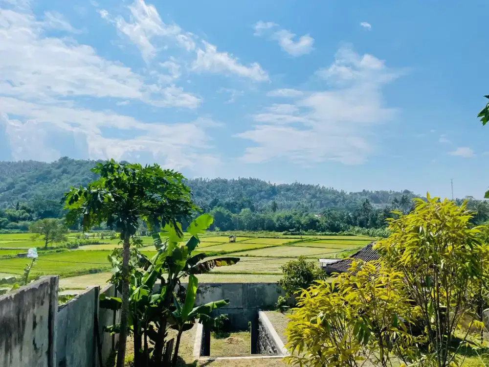 Tanah view sawah di Gunung Sari cocok untuk villa