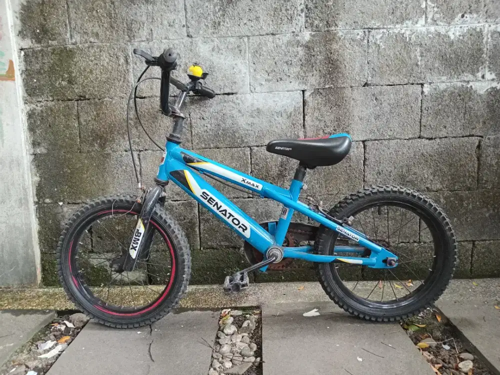 Sepeda Anak 12 & 16/18inc