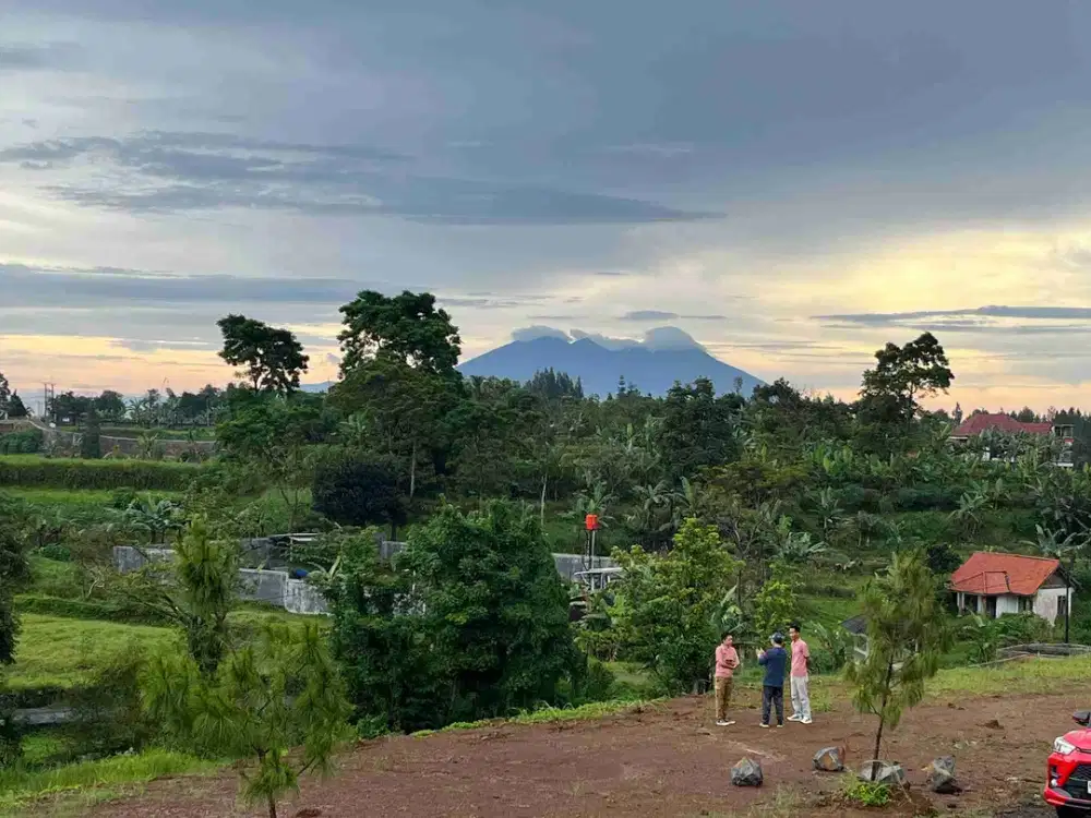 Tanah Luas 530 Meter Di Puncak Dekat Taman Safari