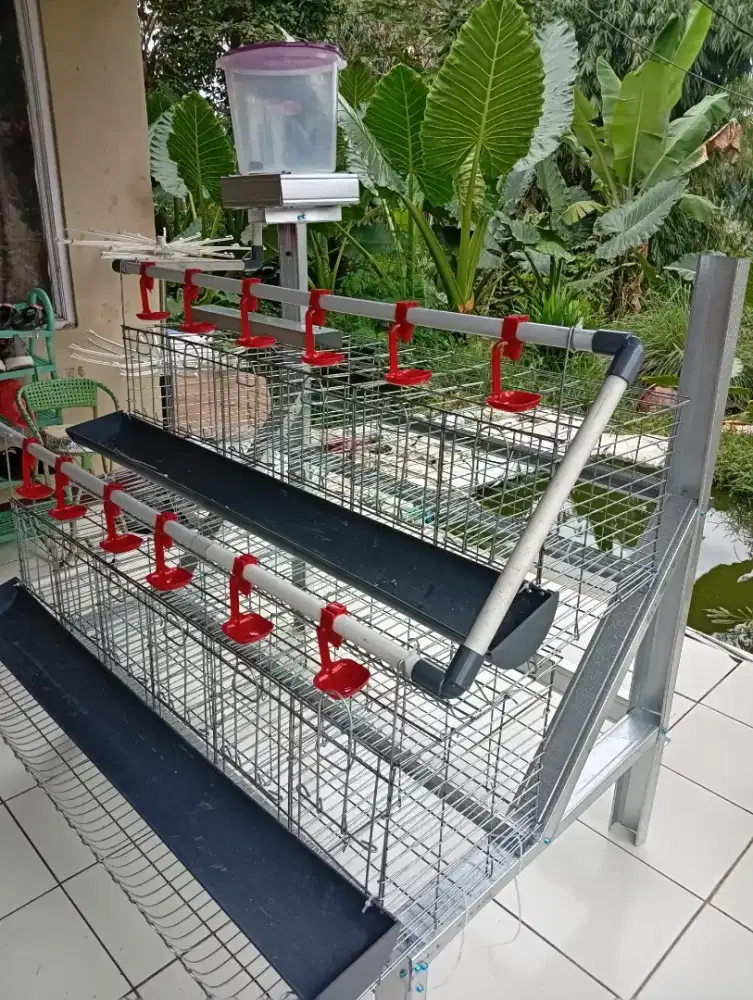 Kandang ayam galvanis kapasitas 12 ekor