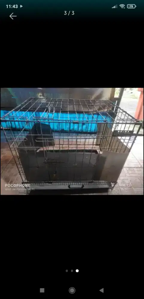 Jual kandang kucing murah