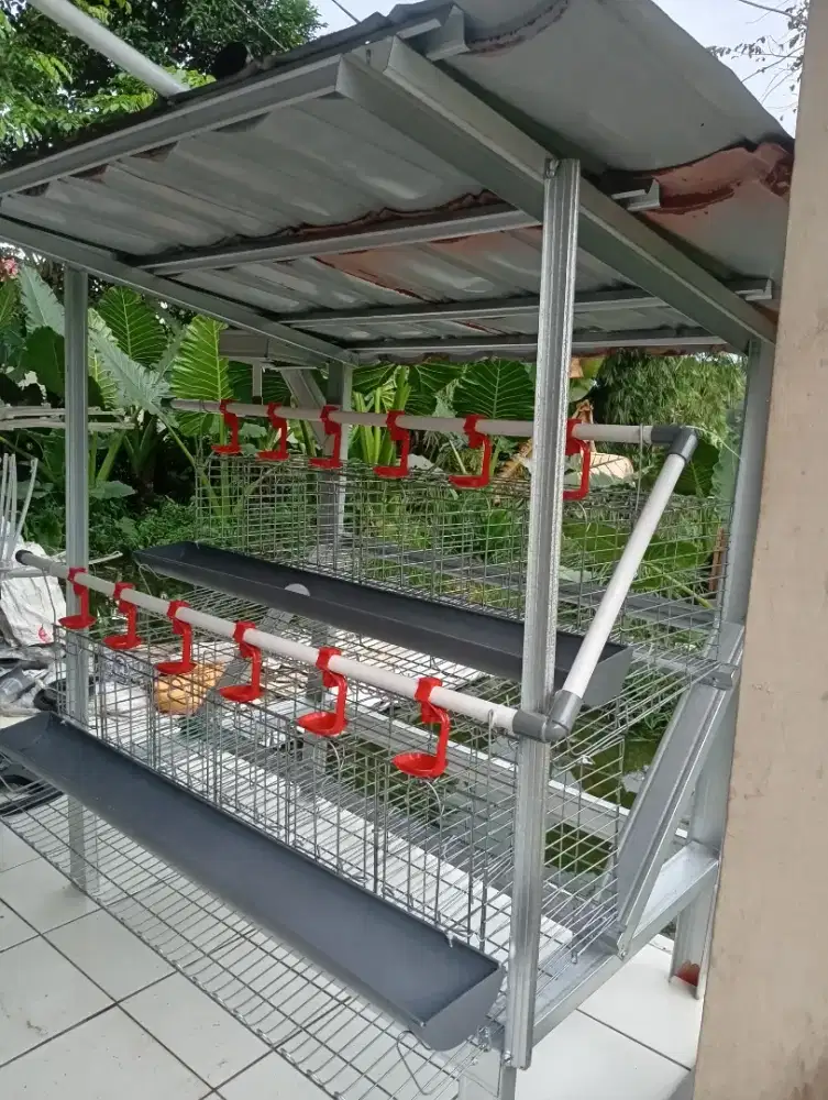 Kandang ayam galvanis dengan atap kapasitas 12 ekor