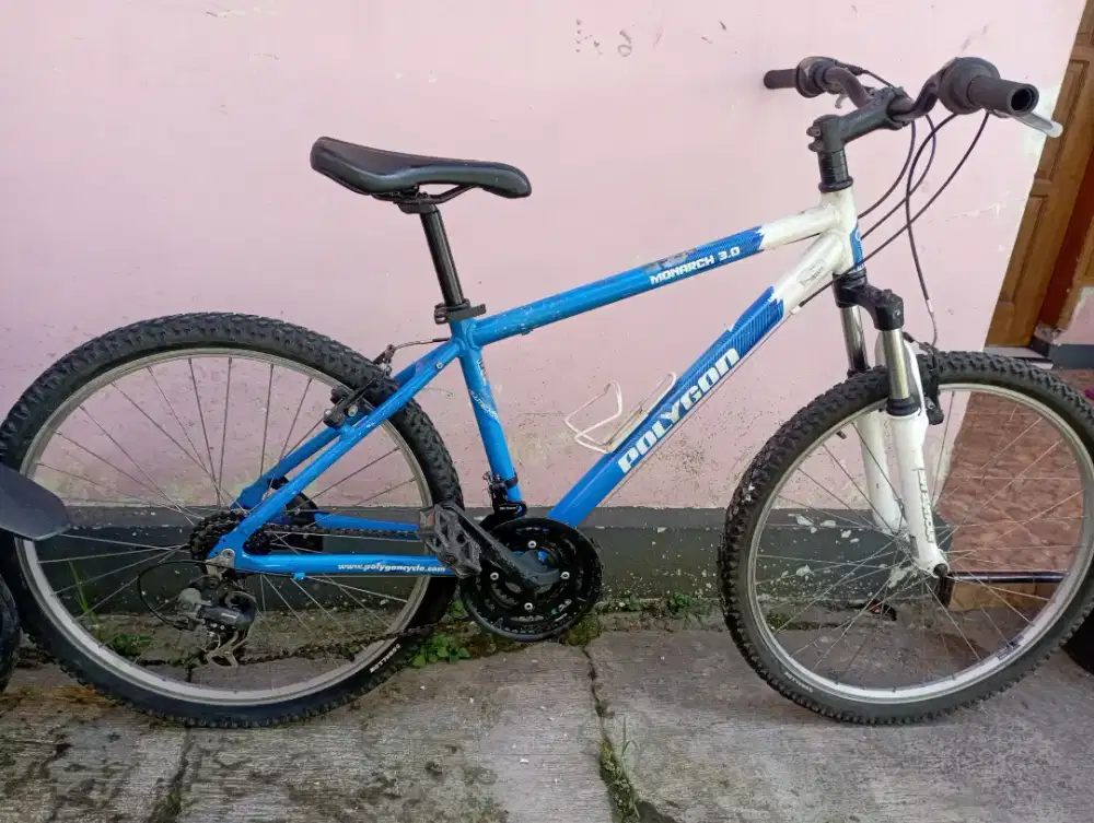 Polygon Monarch3 alloy