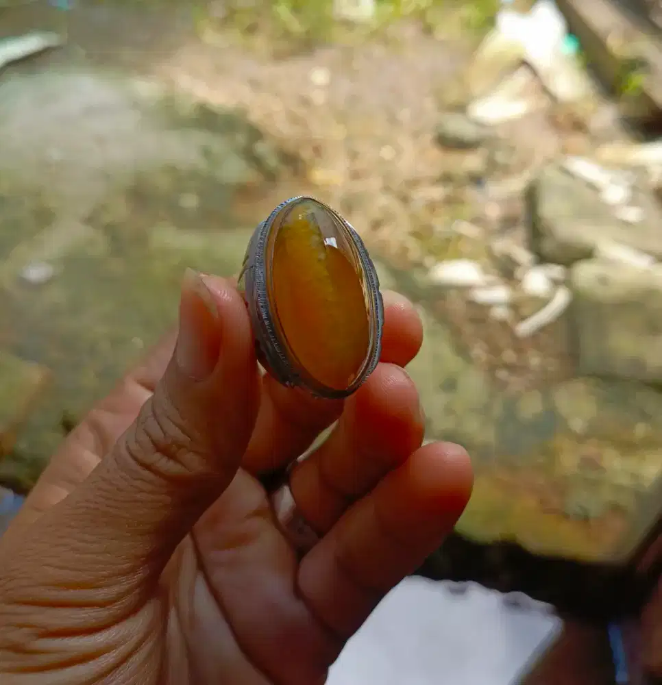 Pandan nanas lawas semu lumut kristal ajibb