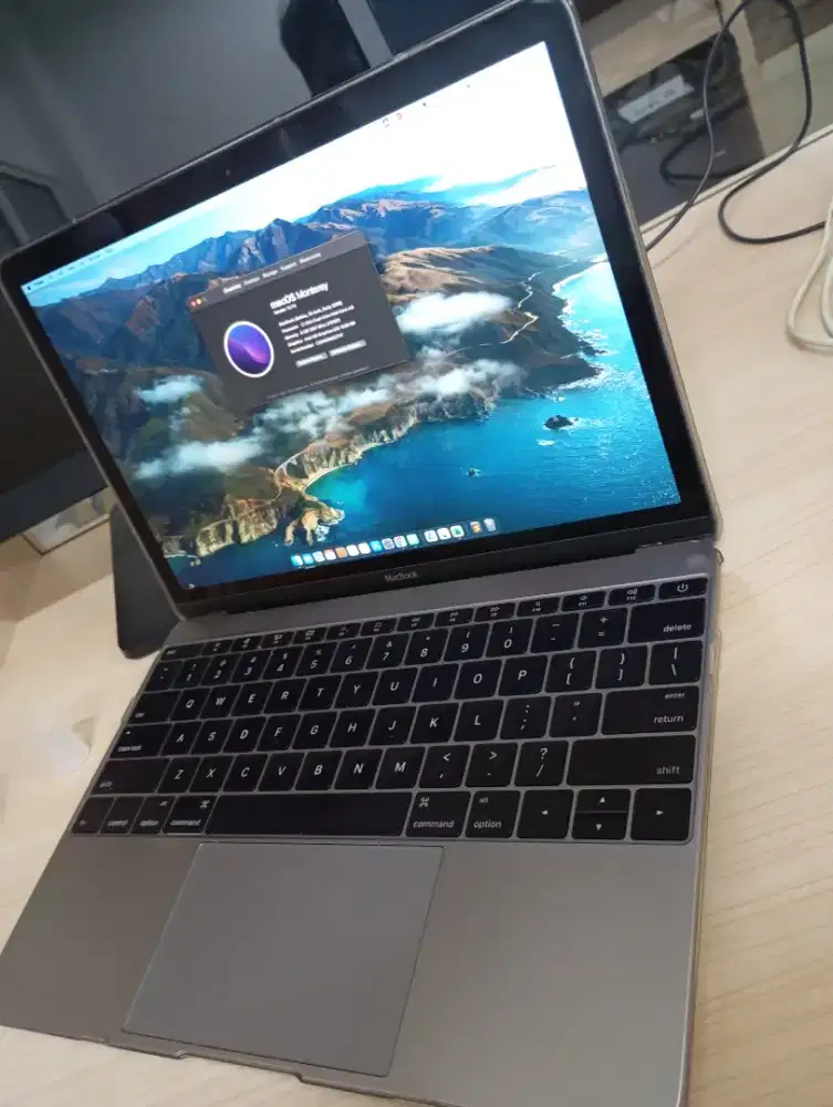 Macbook 12 Inch Early 2016