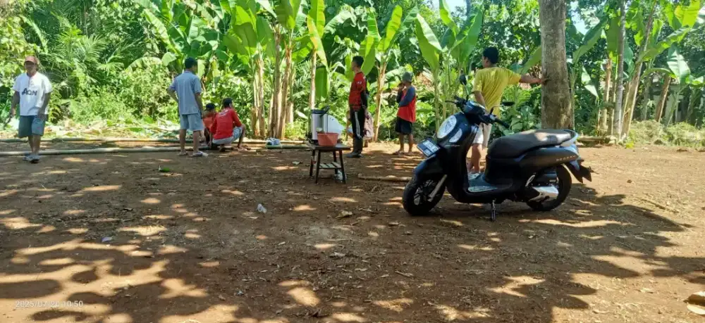 Dijual Tanah Pekarangan