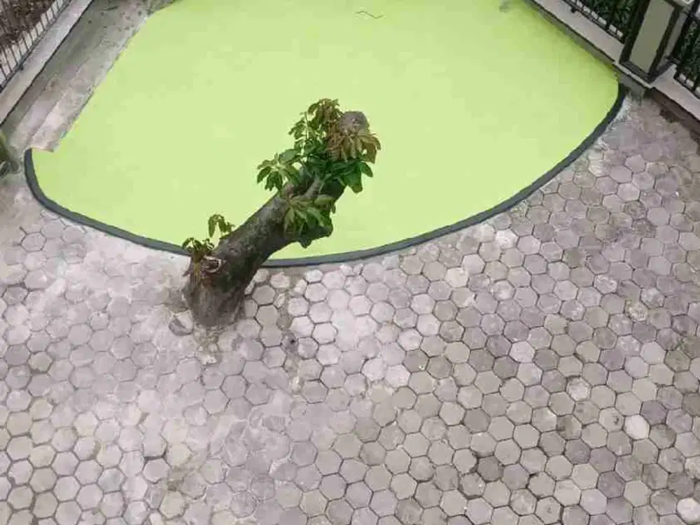 jual rumah harga tanah