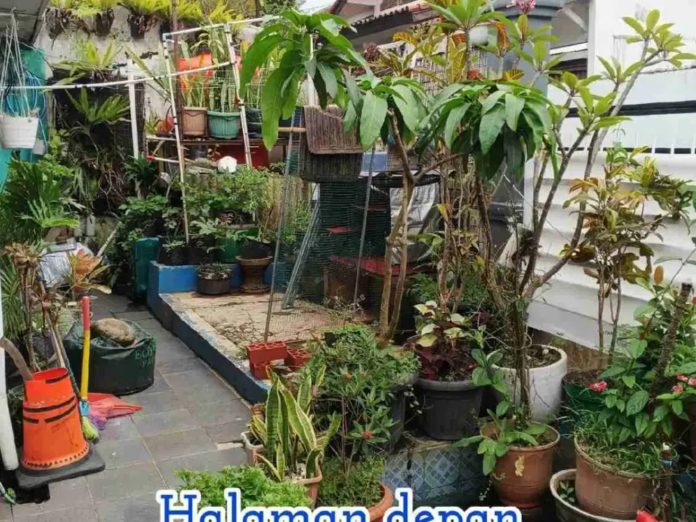 Rumah murah di Cigadung