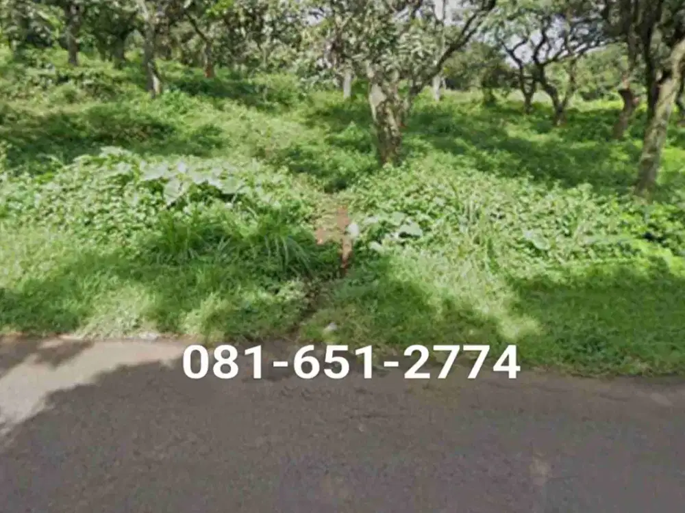 Tanah di Pontir Pasuruan