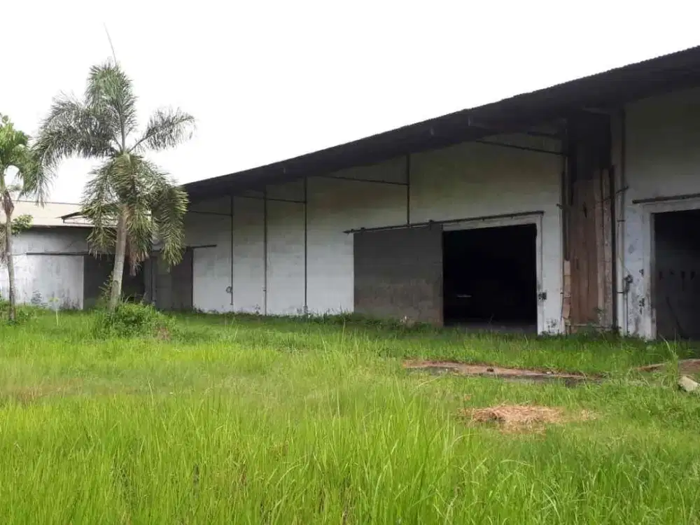 Jual Pabrik Chiki Cheetos Jual Gudang di Lampung Lokasi setelah bandara 1km pinggir jalan besar sekitar alfamart. KOTA BANDAR LAMPUNG