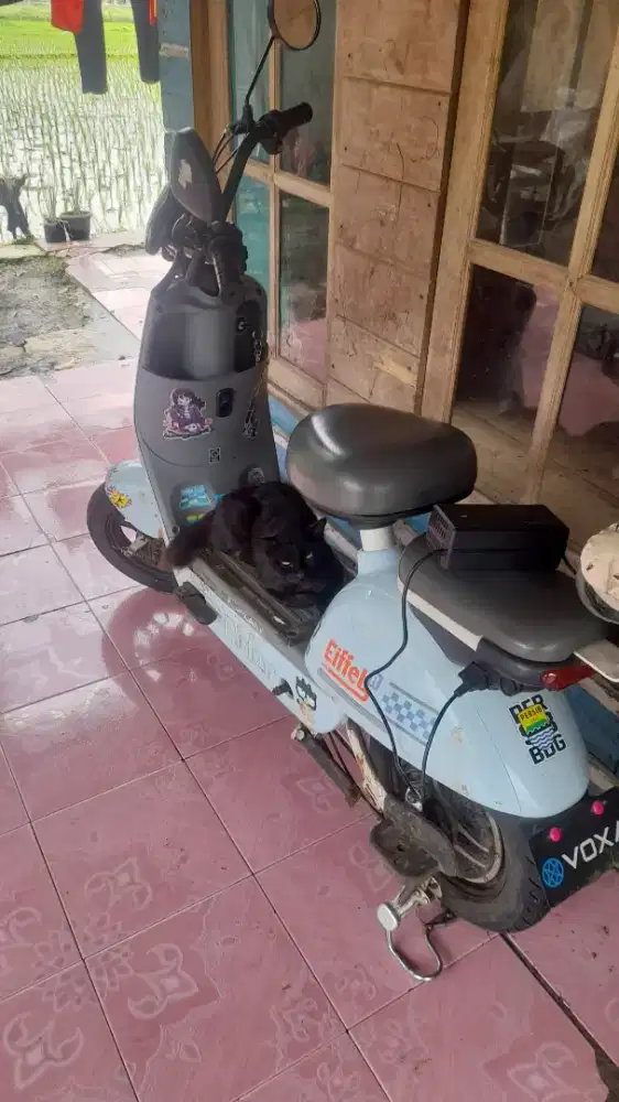 Sepeda listrik merek voxa