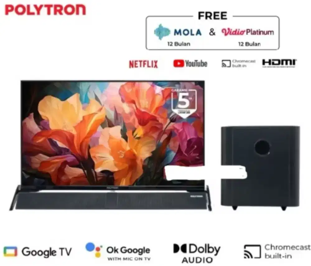 TV Polytron 43 Inch Google TV Cinemax PLD-43BG5058