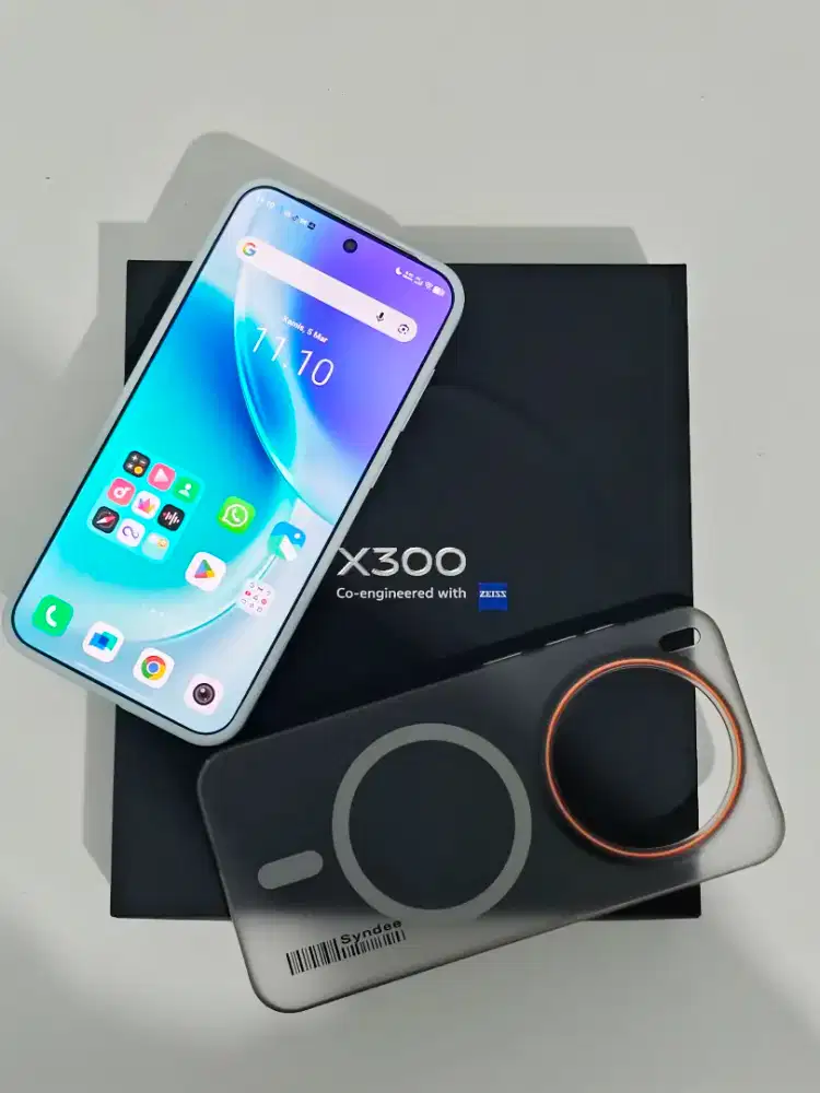 X300 12/256 (MISTBLUE)