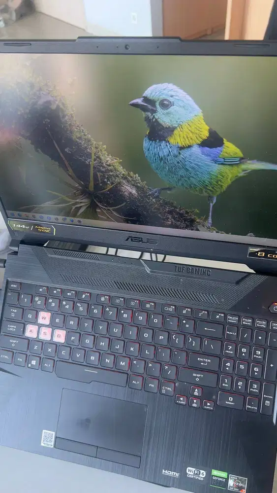 FA506QM AMD RYZEN7 5800H 16GB 3060