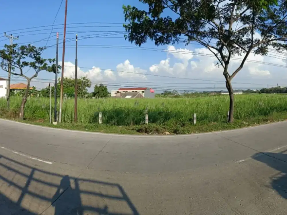 Dijual Tanah Nol Jalan Raya Pantura