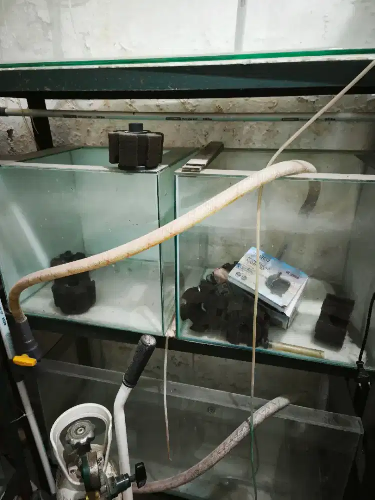 Aquarium 40 x 40 x 40 cm