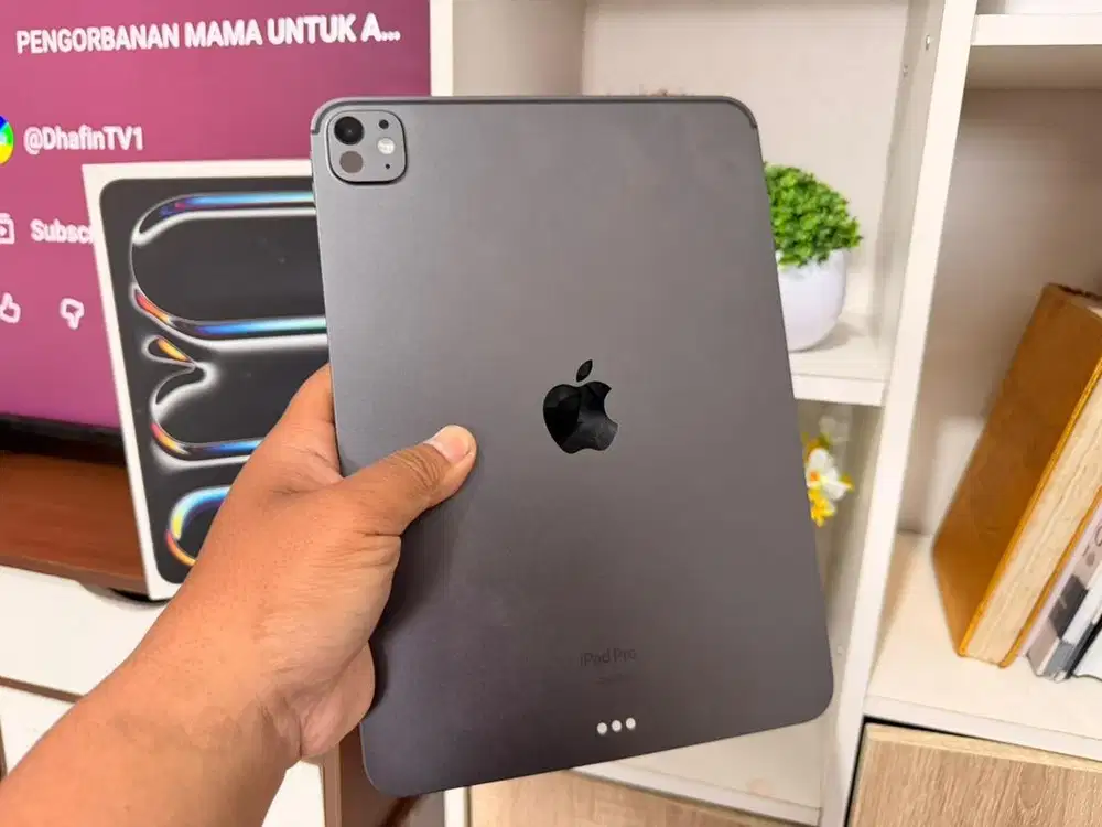 Ipad pro 11 M4 256gb inter mulus fullset