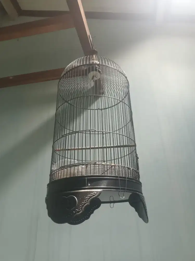 Kandang burung sangkar burung