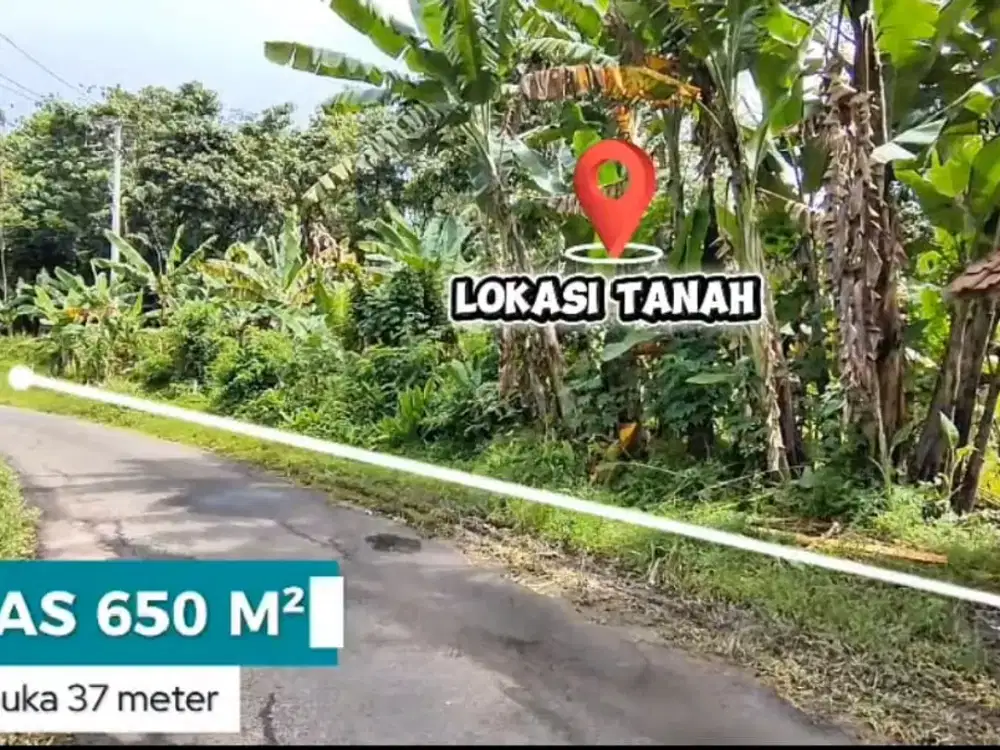 JUAL CEPAT !! TANAH PINGGIR JALAN ASPAL DI KOTA SERANG