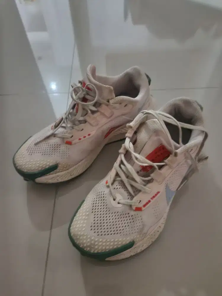 Nike pegasus trail uk39