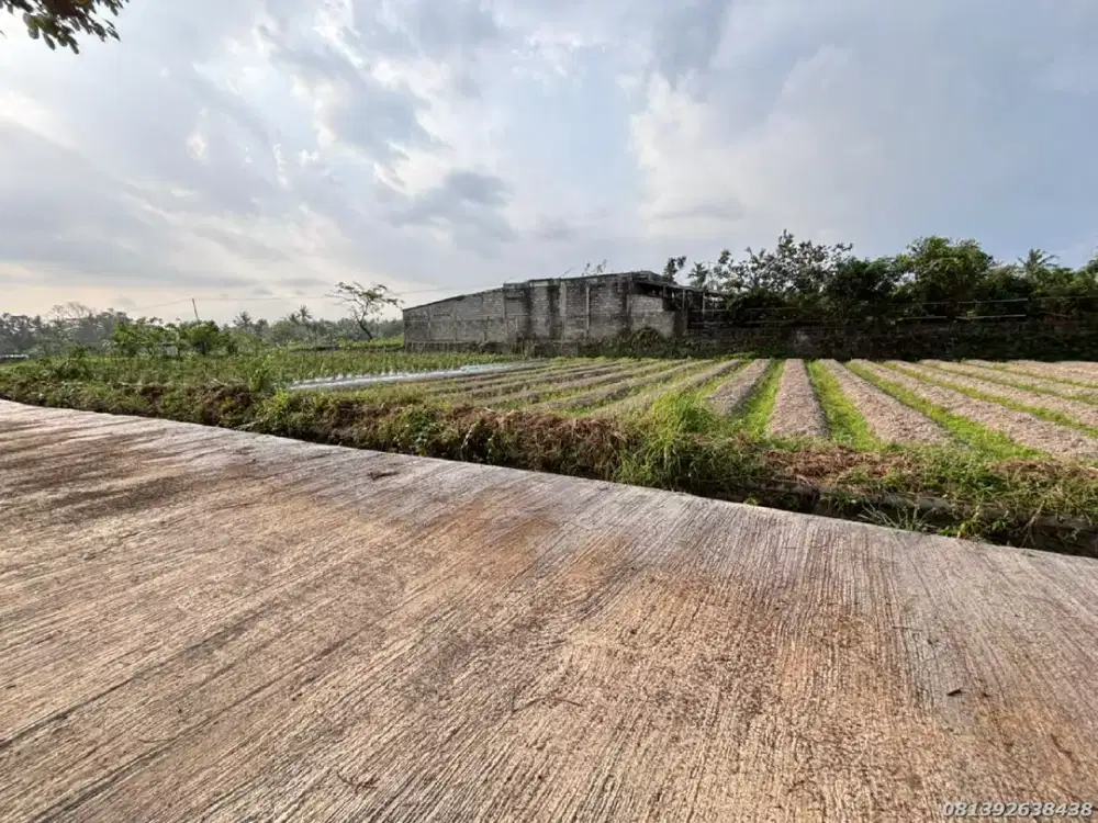 Tanah Timur UII Jogja Sleman Aspal Mobil Papasan Investasi Strategis
