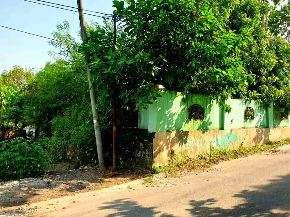 TANAH MURAH AREA KOMERSIL DI OKU SUMSEL 35 METER DARI UNIVERSITAS BATIRAJA