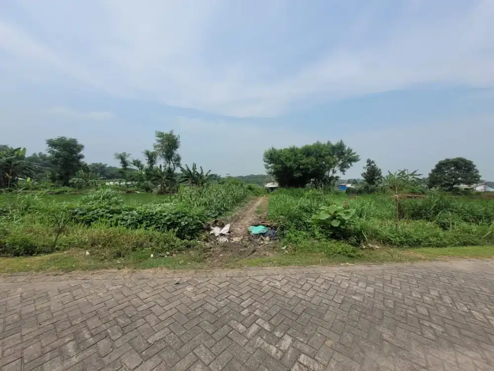 Tanah Strategis dan Murah di Kawasan Kutorejo, Mojokerto dekat dengan Stadion Gelora Gajah Mada