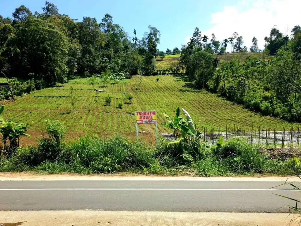 TANAH MURAH SISI JALAN UTAMA DEPAN WATER BOOM BERLIAN MUDA JALAN LUMBOK SEMINUNG SUKAU LAMPUNG BARAT