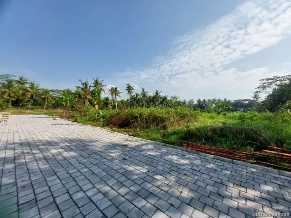 Tanah Strategis Area Tawangsari Wates Dekat Jalan Raya Dan Bandara YIA