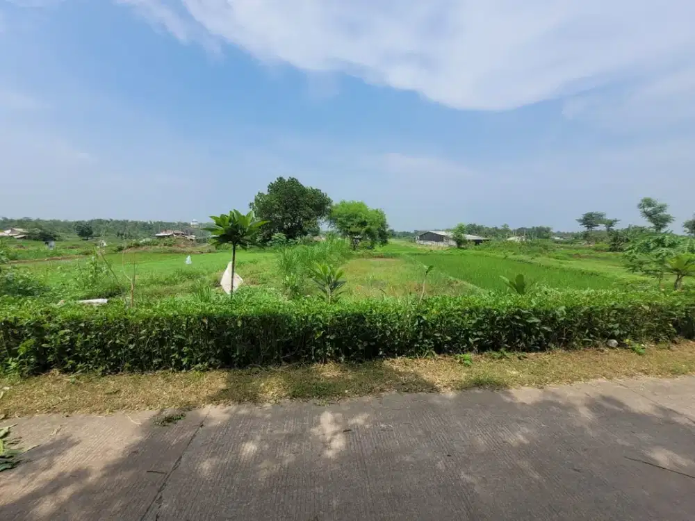 Tanah Strategis dan Murah di Kawasan Kutorejo, Mojokerto dekat dengan Stadion Gelora Gajah Mada