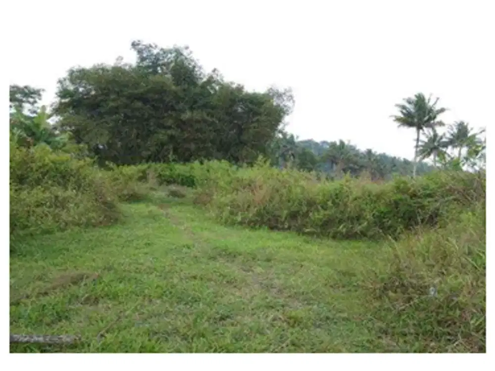 Tanah Strategis dan Murah di Kawasan Gondowangi, Magelang dekat dengan Jalan Raya Magelang-Yogya