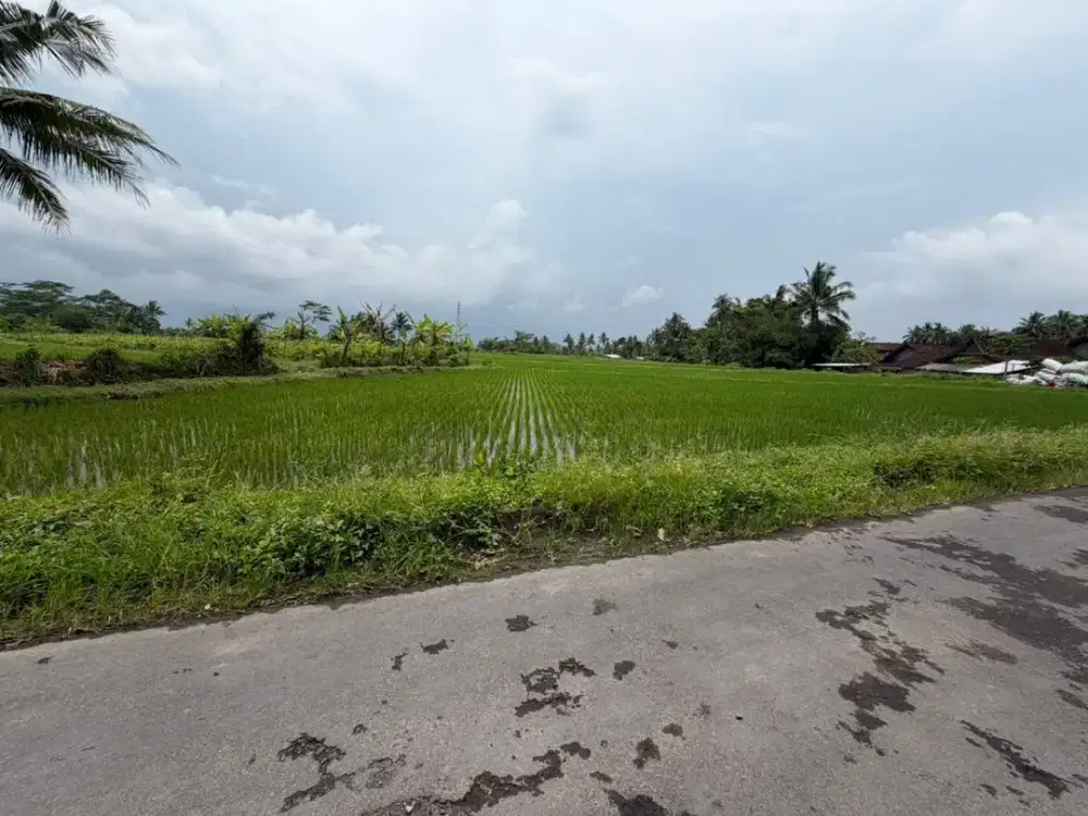 Tanah Strategis dan Murah di Kawasan Sawangan, Magelang dekat dengan Jalan Raya Magelang-Yogya