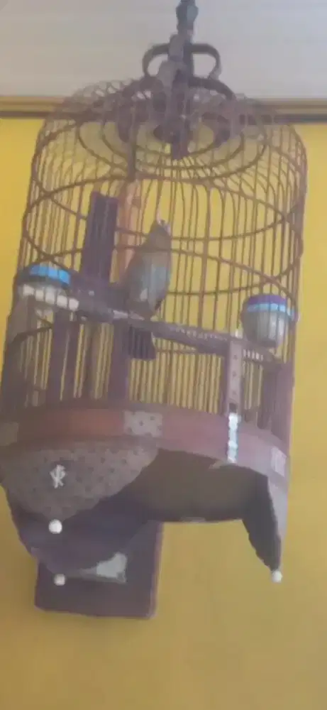 Wambi / wambie gacoor door suara kenceng