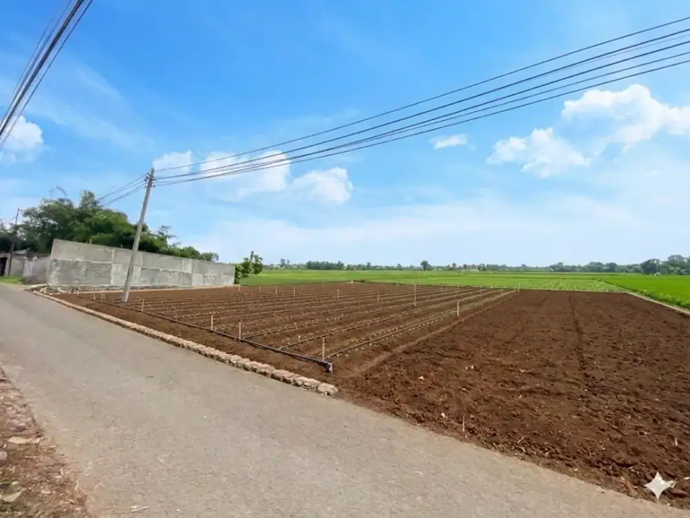 Tanah Potensial Cicalengka, Pinggir Jalan dan Dekat Pusat Aktivitas