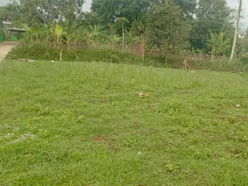 Dijual Tanah Potensial Cicalengka, Dekat Stasiun dan Alun-Alun