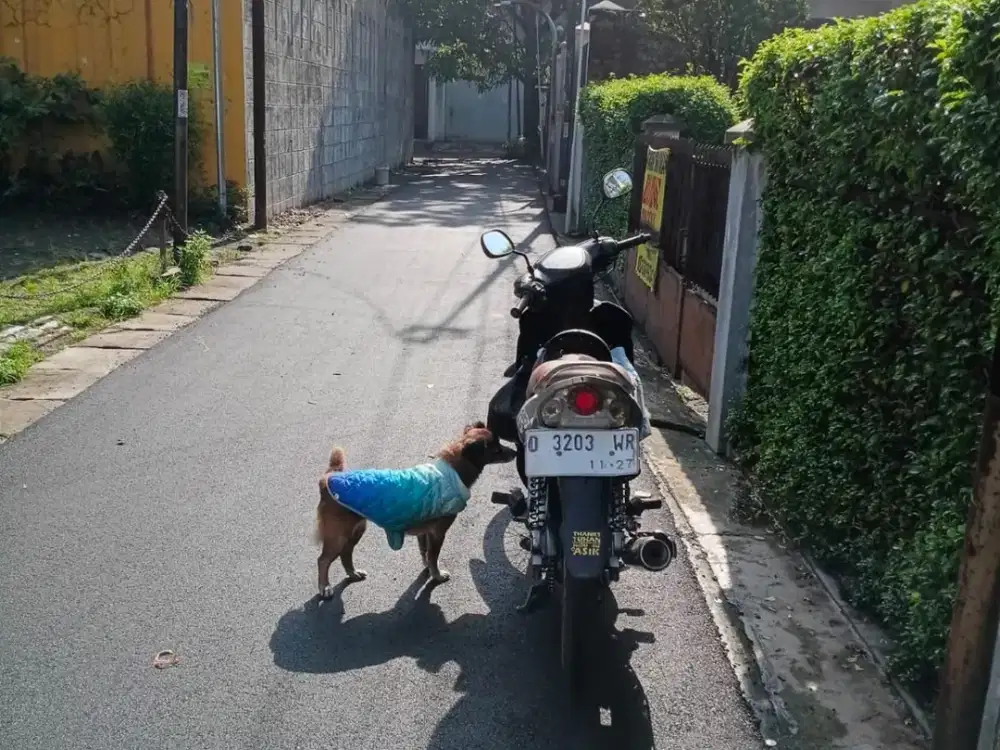 RUMAH TUA HITUNG TANAH TENGAH KOTA STRATEGIS DI PUNGKUR BANDUNG