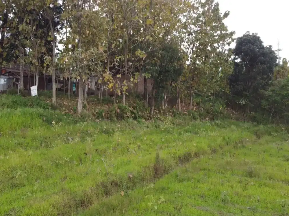 DIJUAL TANAH SHM SIMBARINGIN MOJOKERTO