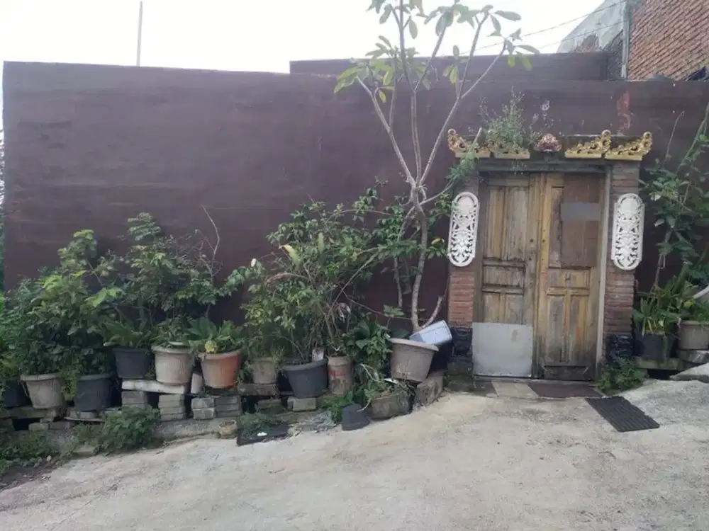 Rumah dijual di Malang 270jt 2KT Lt77 bandulan pandanlandung