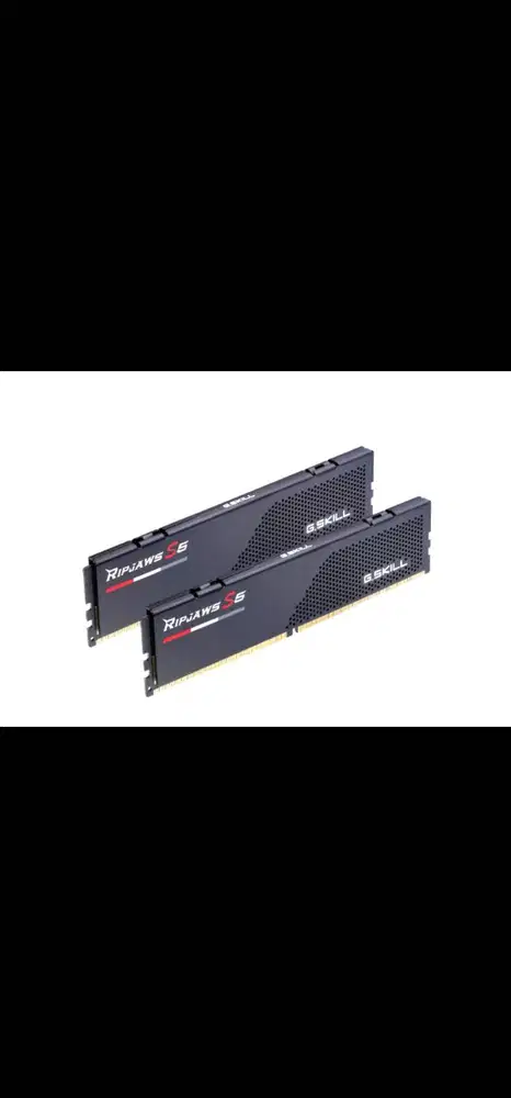 Ram DDR5 Gskill 96GB