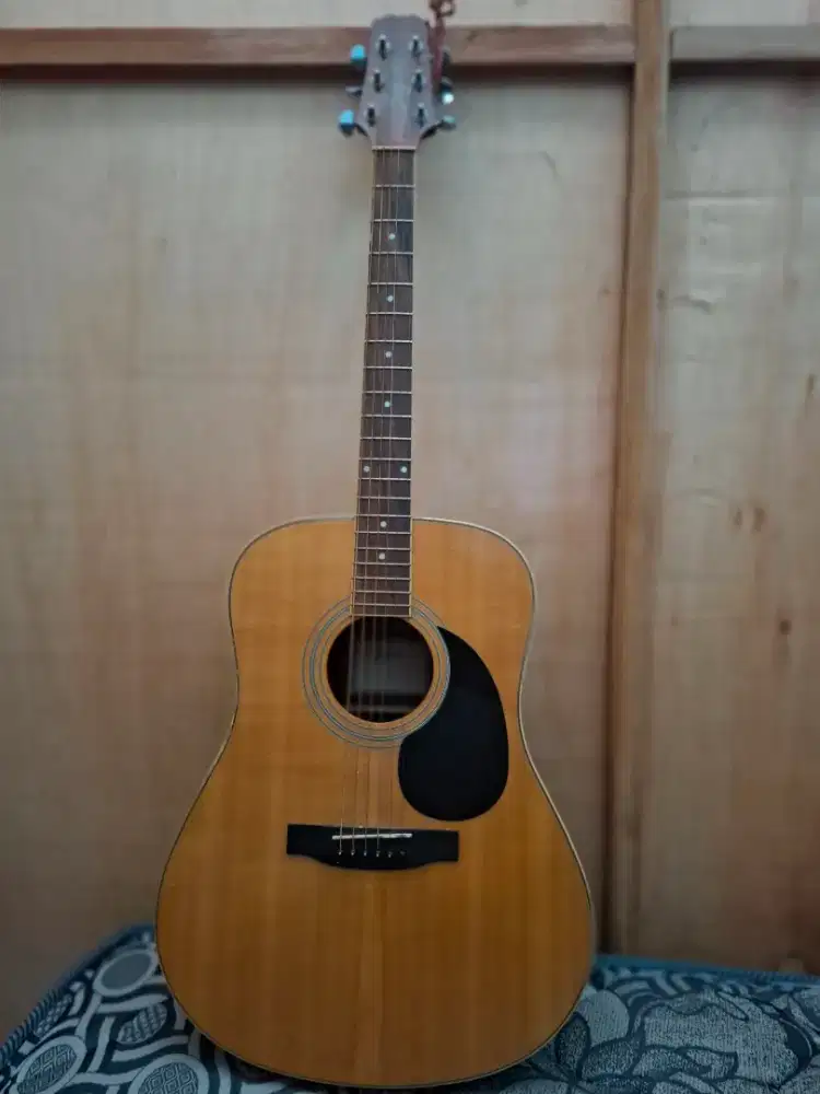 Gitar Akustik Elektrik Segovia D-07GN