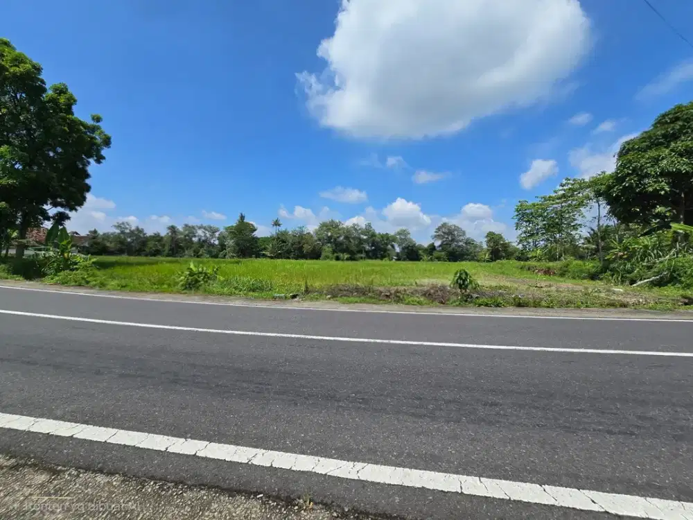 Tanah Murah Jogja Dekat Kampus UII, Nyaman Huni dan Asri
