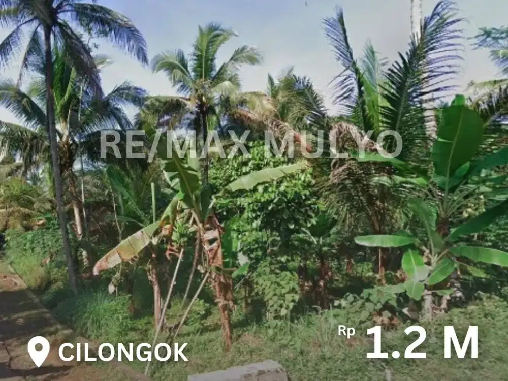 Dijual Tanah Pinggir Jalan Cocok untuk Usaha Area Cilongok