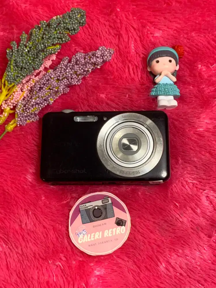 Digicam Camera Sony W710