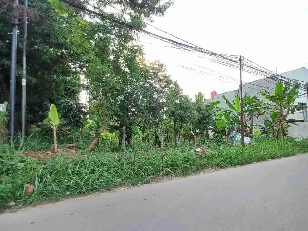 Tanah Luas Bentuk Kotak Sudah SHM di Lengkong Gudang